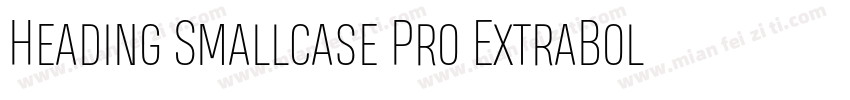 Heading Smallcase Pro ExtraBold字体转换